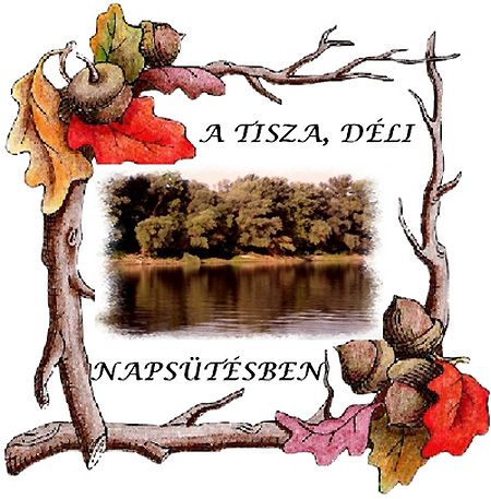 A_Tisza_déli_napsütésben